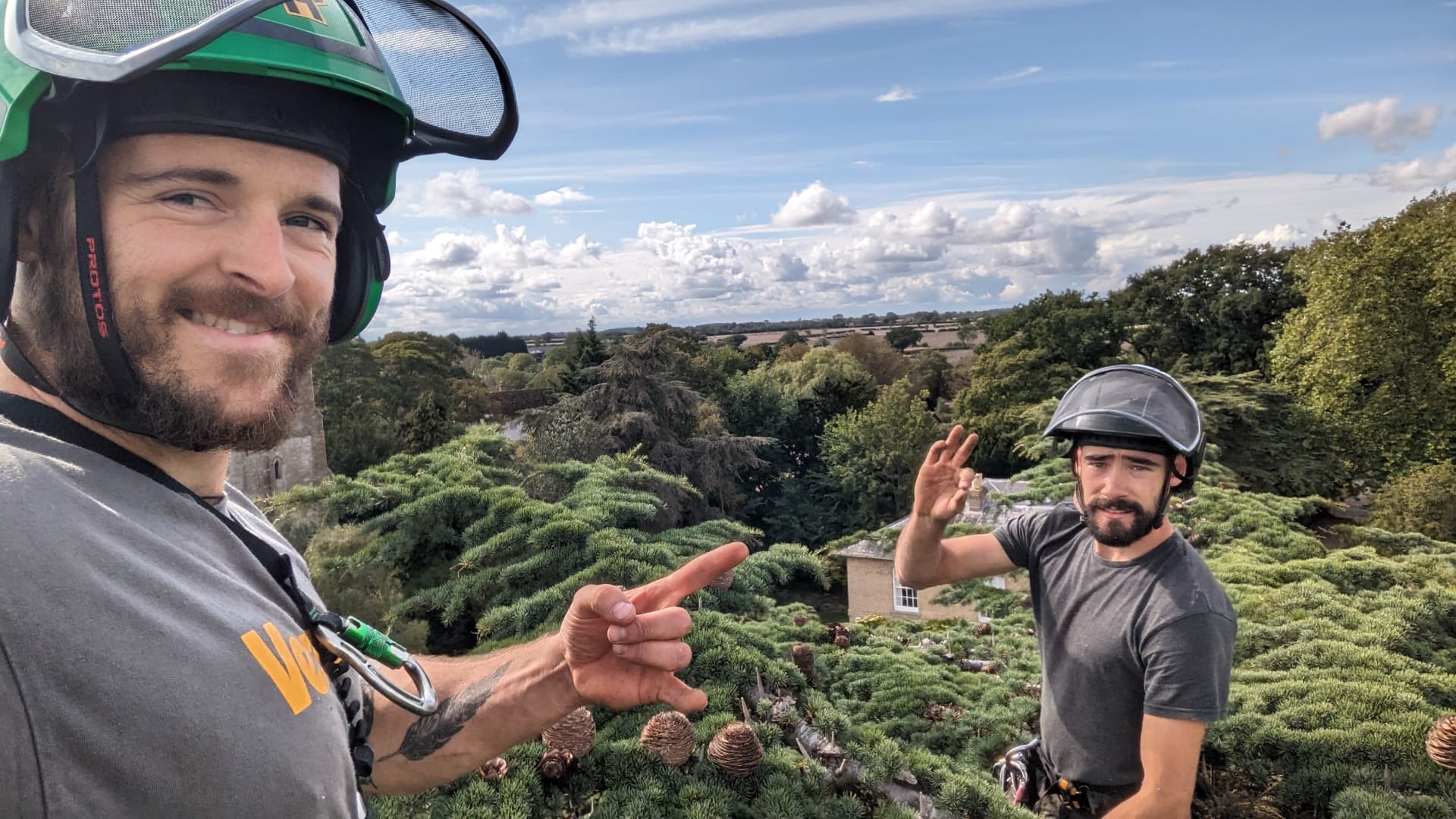 Arborists working within a tree canopy above a garden near South Harting